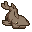 Raw Shark